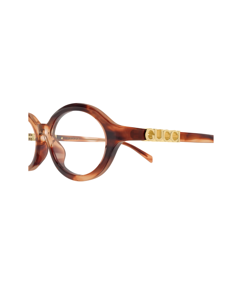 Brown Havana