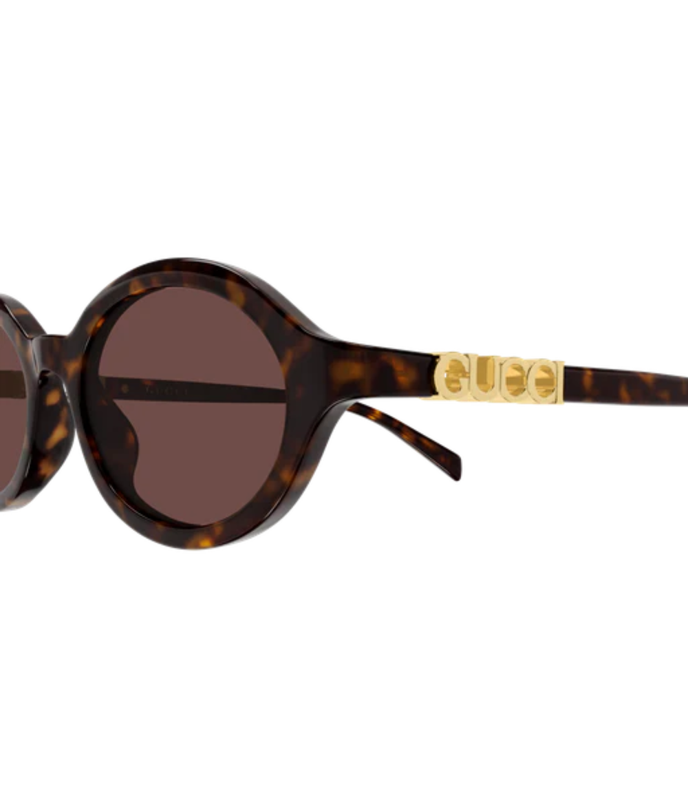 Havana-Brown