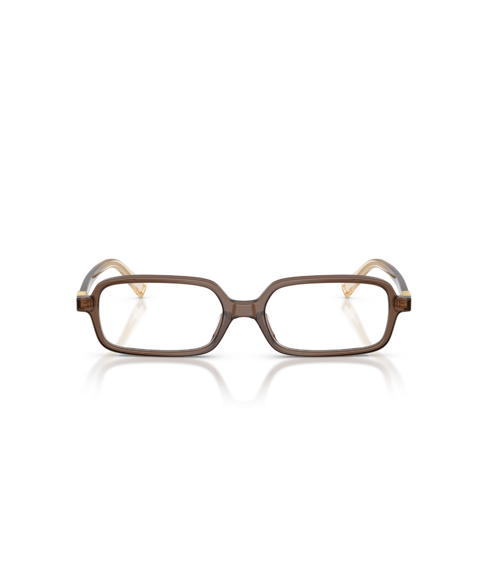 Brown Transparent