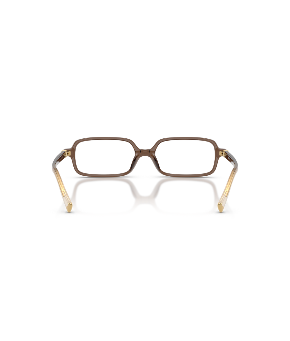 Brown Transparent
