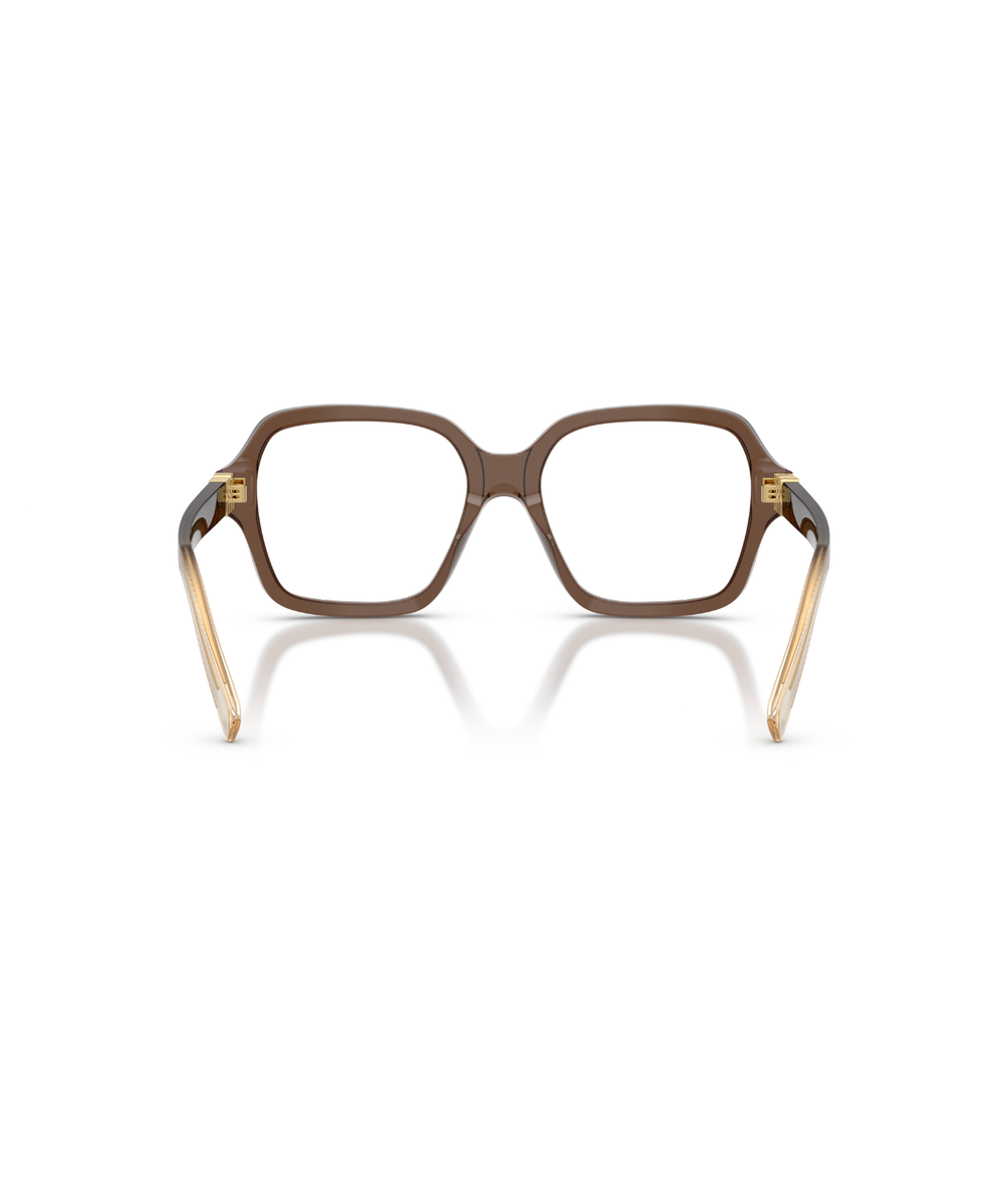 Brown Transparent