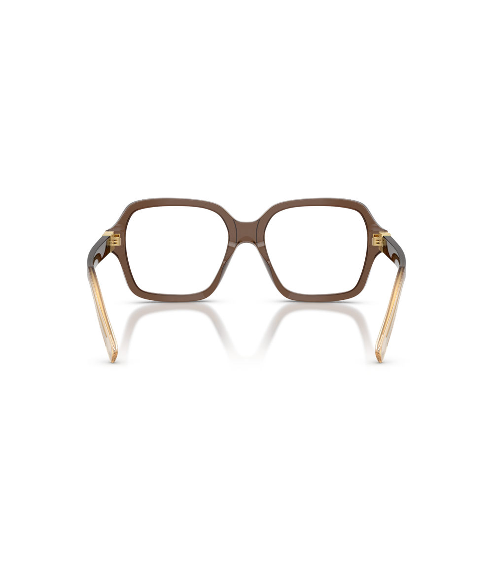 Brown Transparent