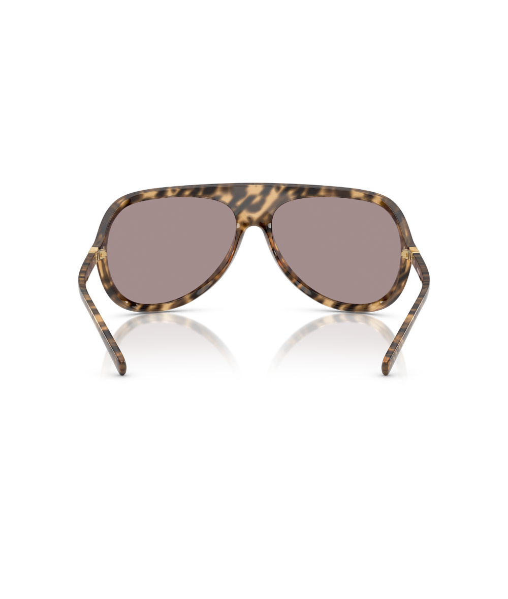 Havana-Light Purple Brown
