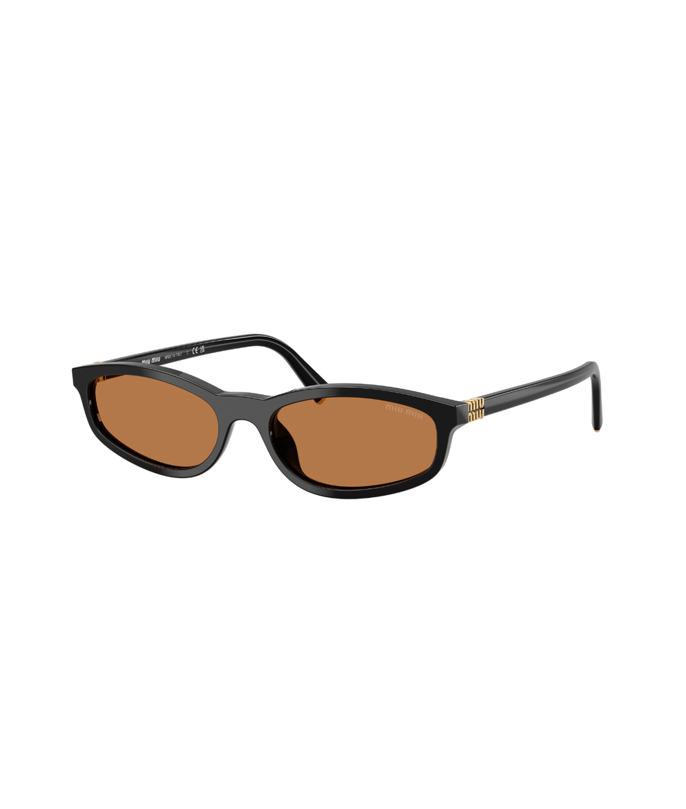  Black-Brown