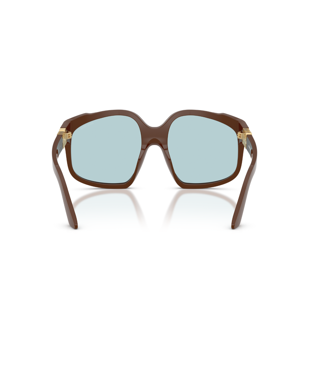 Chocolate-Light Blue