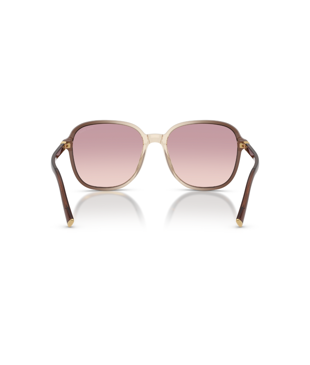  Brown Gradient -Brown Gradient Violet