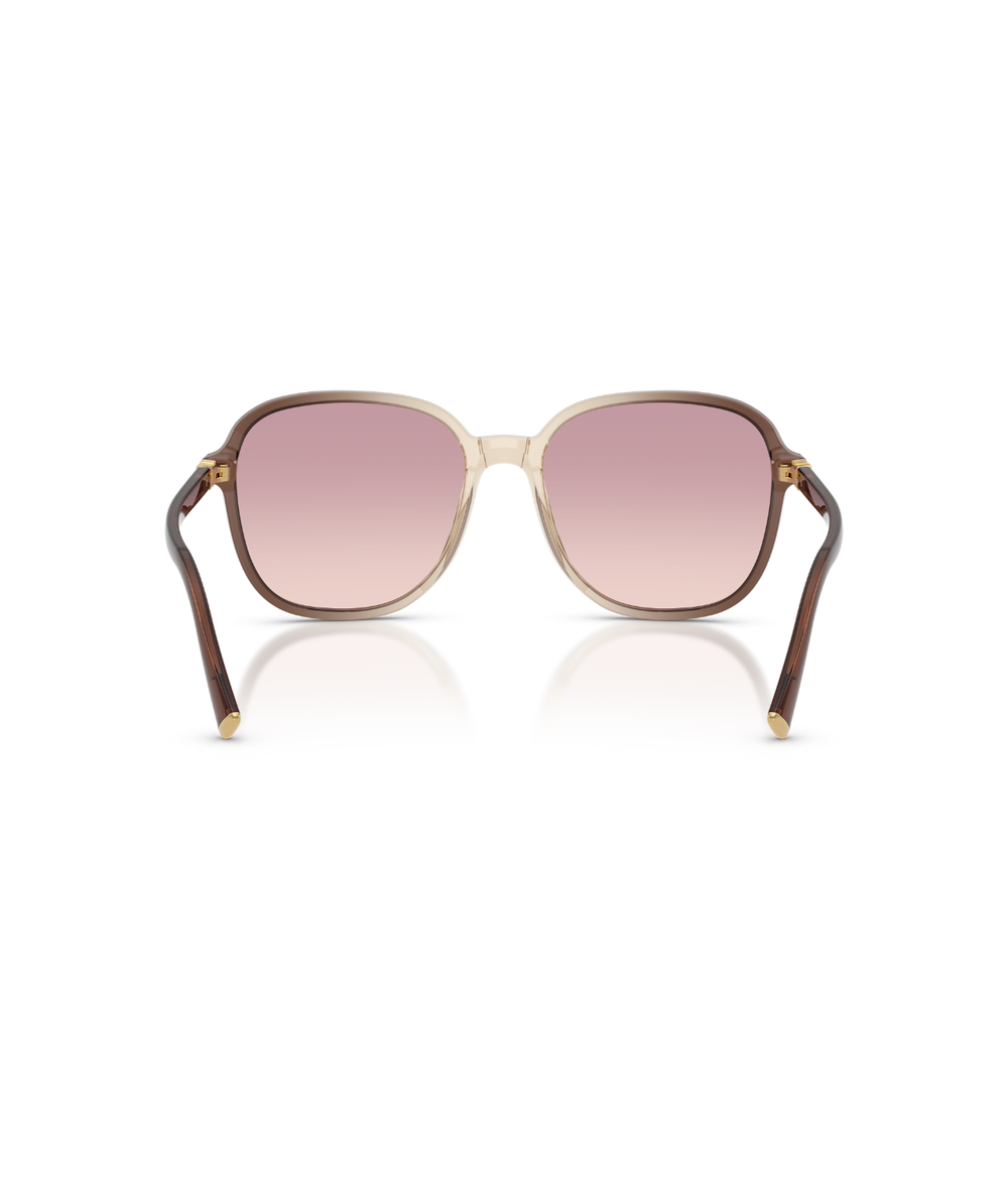 Brown-Violet