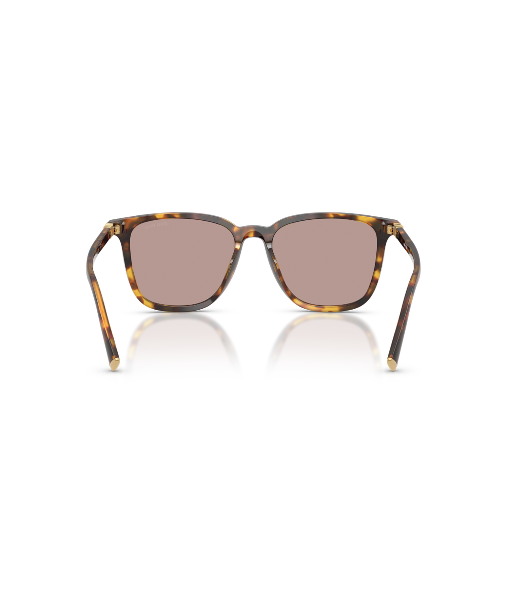 Honey Havana-Light Purple Brown