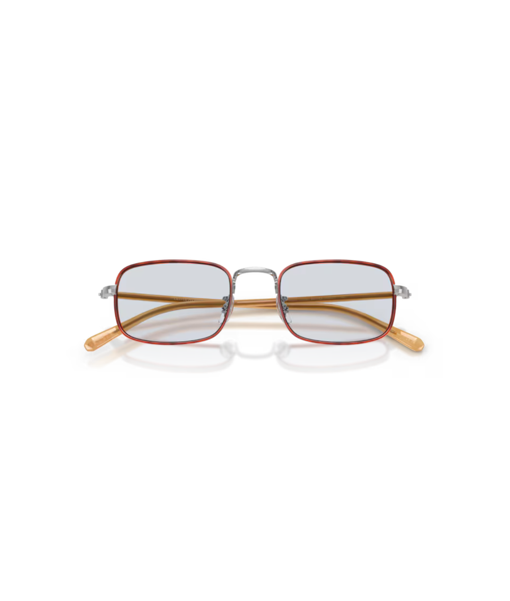 Silver amber tortoise