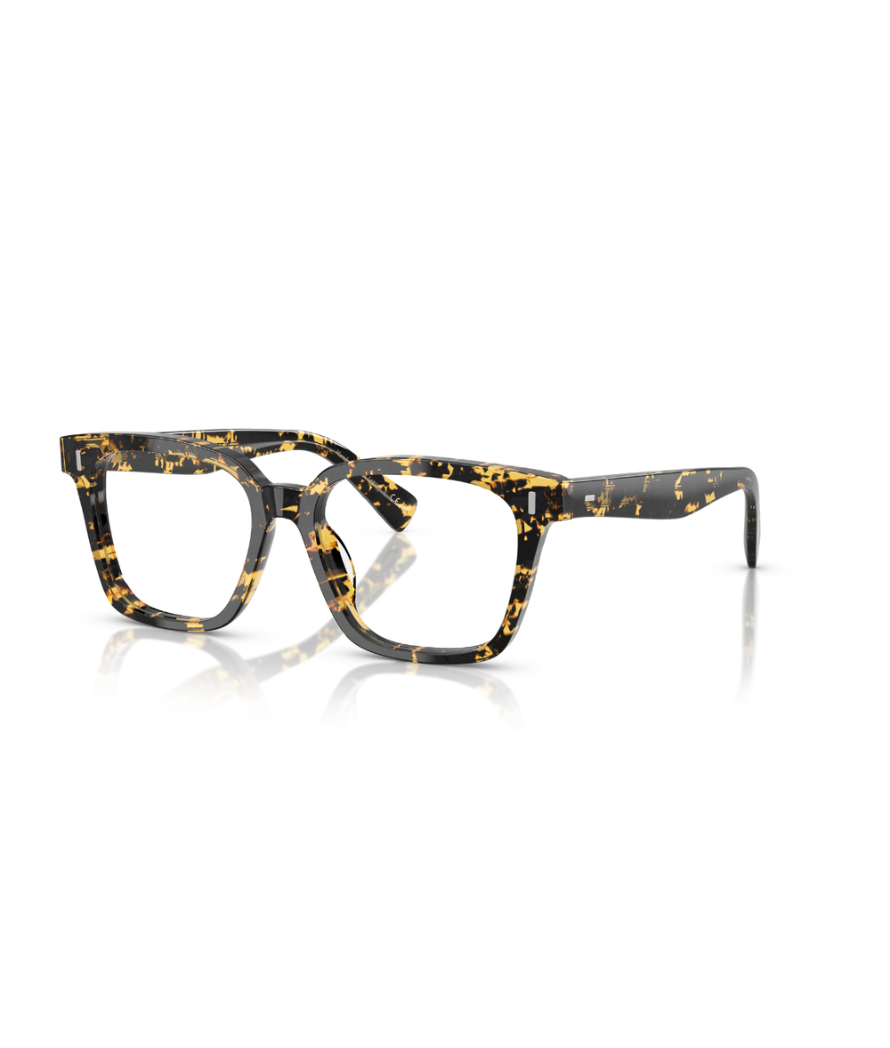 Tokyo tortoise