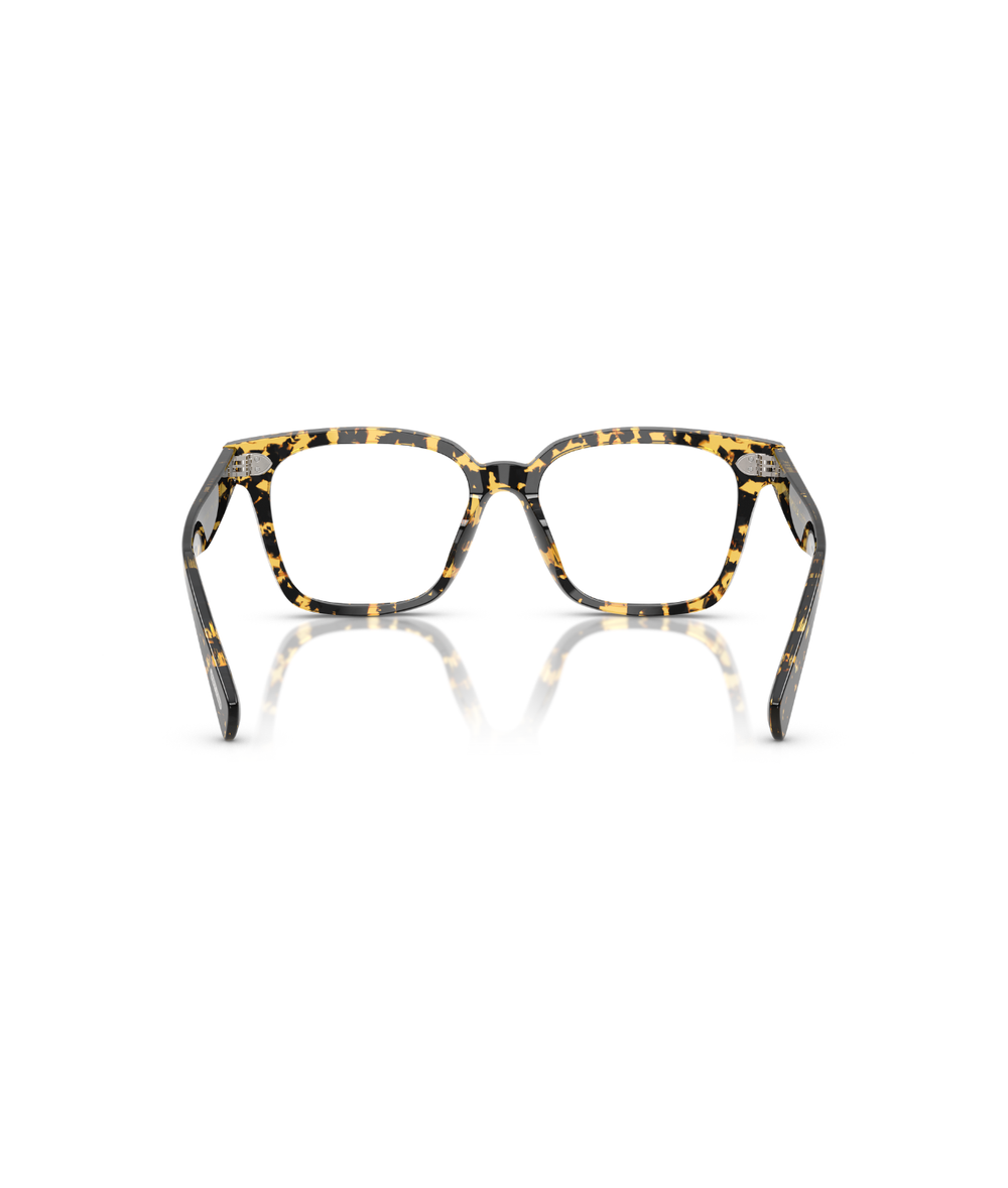 Tokyo tortoise