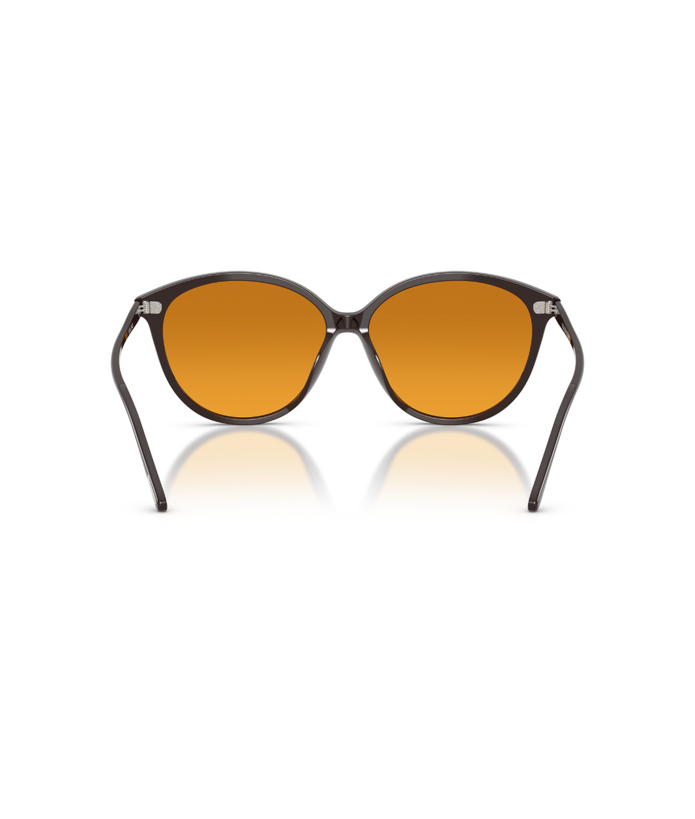 Kuri brown-Cognac gradient