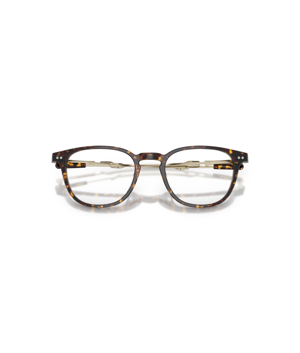 Atago tortoise/brushed gold