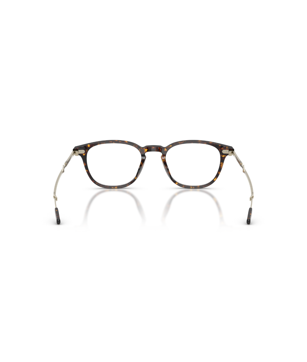Atago tortoise/brushed gold